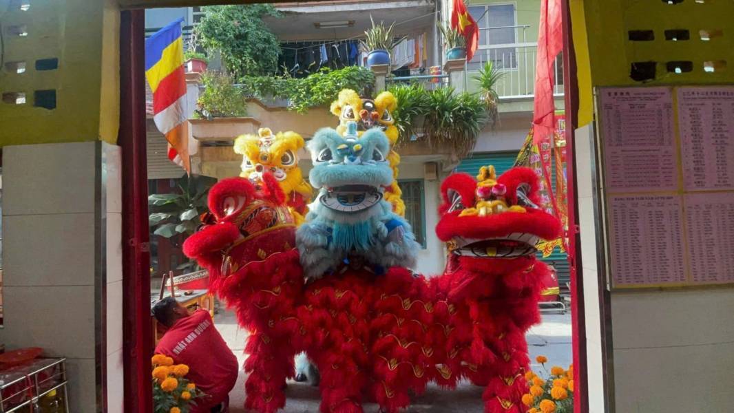 Dịch Vụ Cho Thuê Đội Múa Lân Khai Trương Tại Bình Tân . Ảnh 5