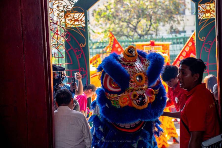 Dịch Vụ Cho Thuê Đội Múa Lân Khai Trương Tại Bình Tân . Ảnh 6