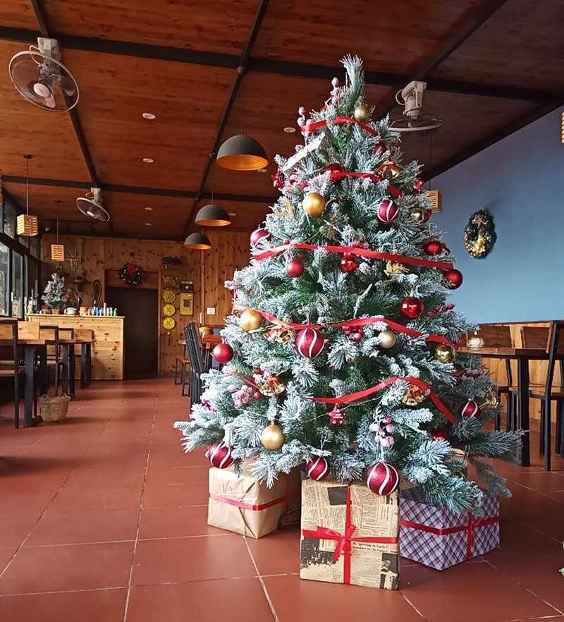 Cho Thuê Cây Thông Noel Tại Chơn Thành Bình Phước
