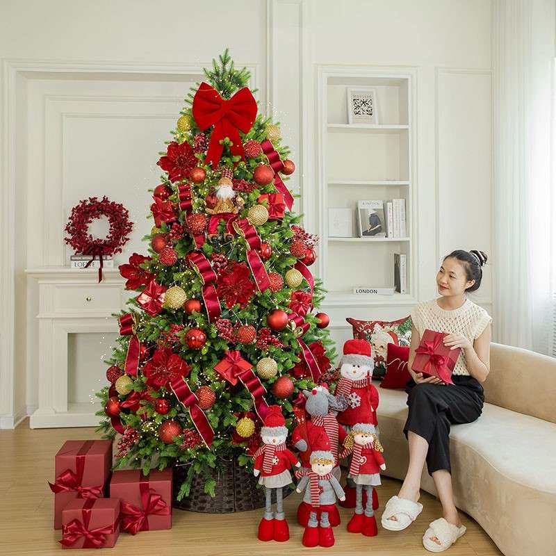 Cho Thuê Cây Thông Noel Tại Bình Phước